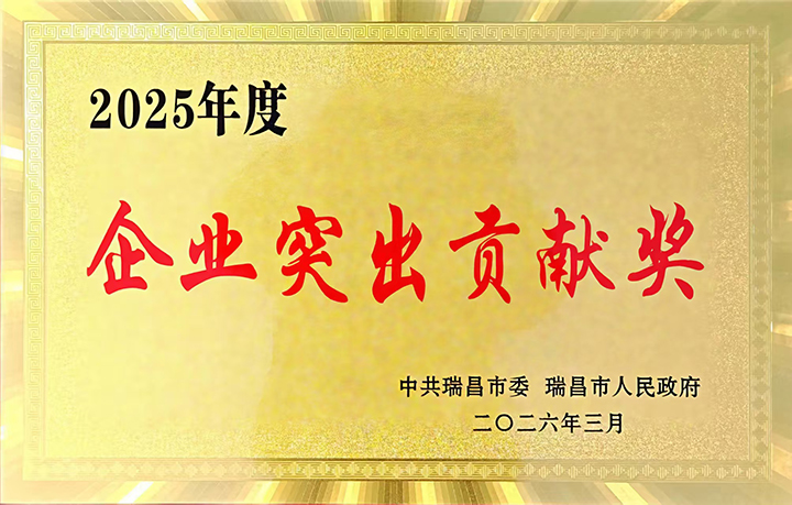 2026年3月13日，瑞昌市召开“全市高质量发展暨优化营商环境推进大会”，江西亚东获颁